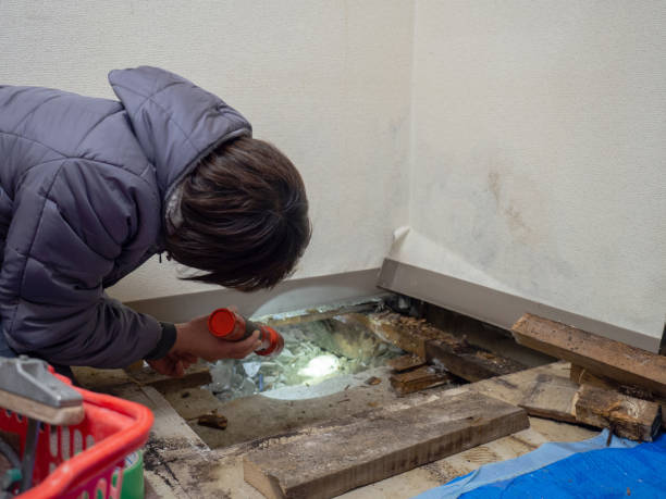Best Comprehensive Air Testing for Mold Contaminants  in Burton, OH