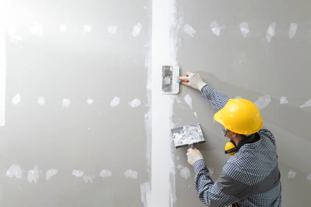 Best Environmental Consulting for Mold Prevention  in Burton, OH