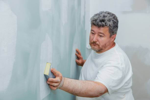 Best Emergency Mold Remediation  in Burton, OH