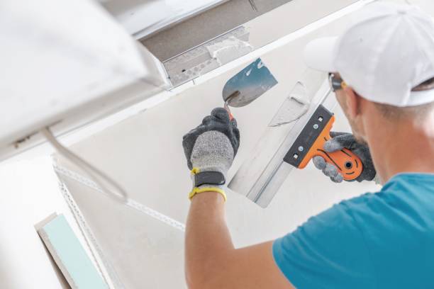 Best Dehumidification Services  in Burton, OH